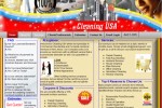 website_cleaningusa